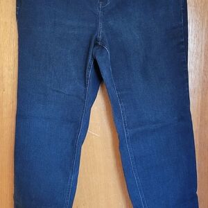 Lane Bryant Women's Dark Blue Straight Leg Jeans